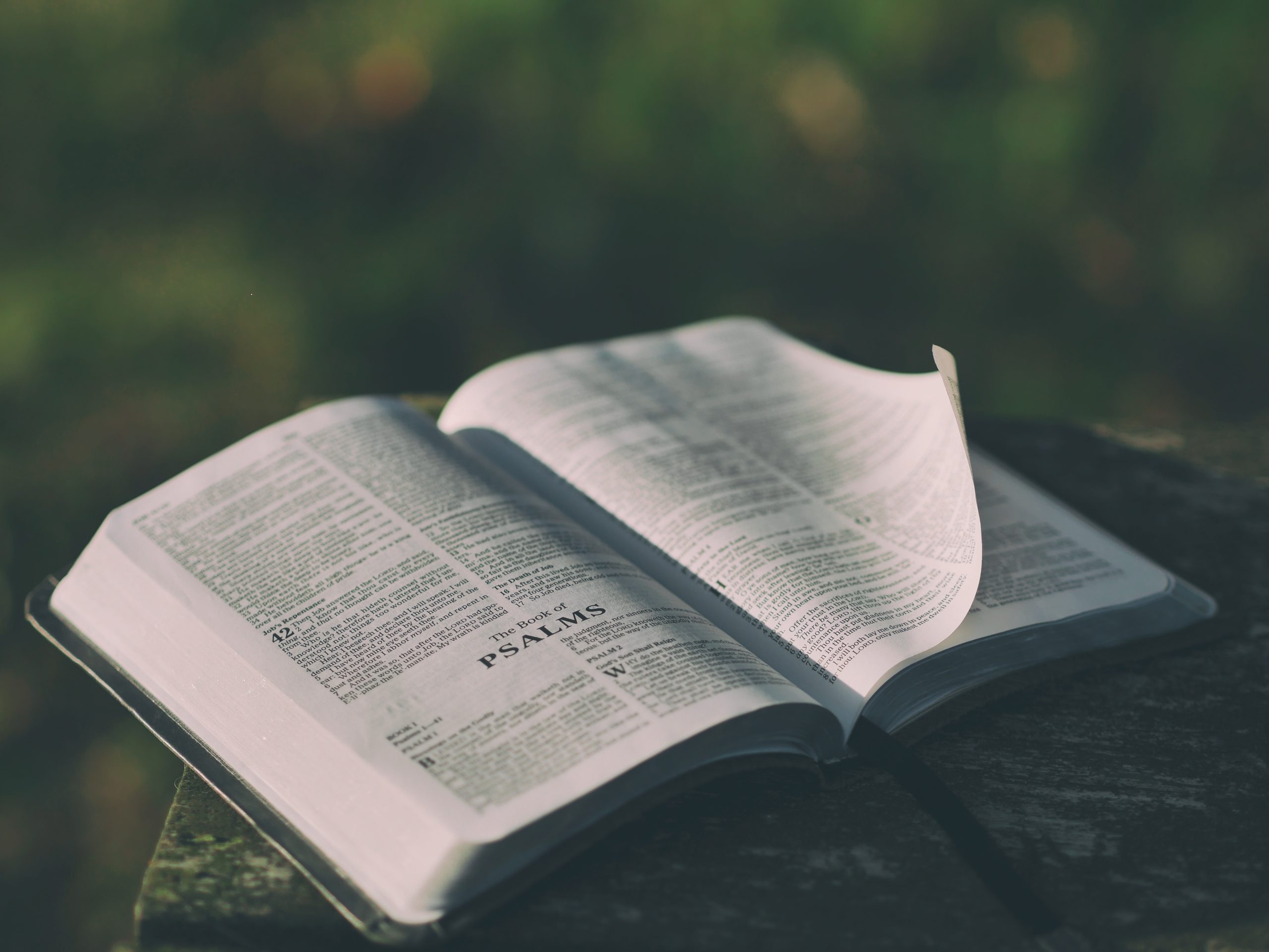 2023_bible-1846174-pixabay-psalms