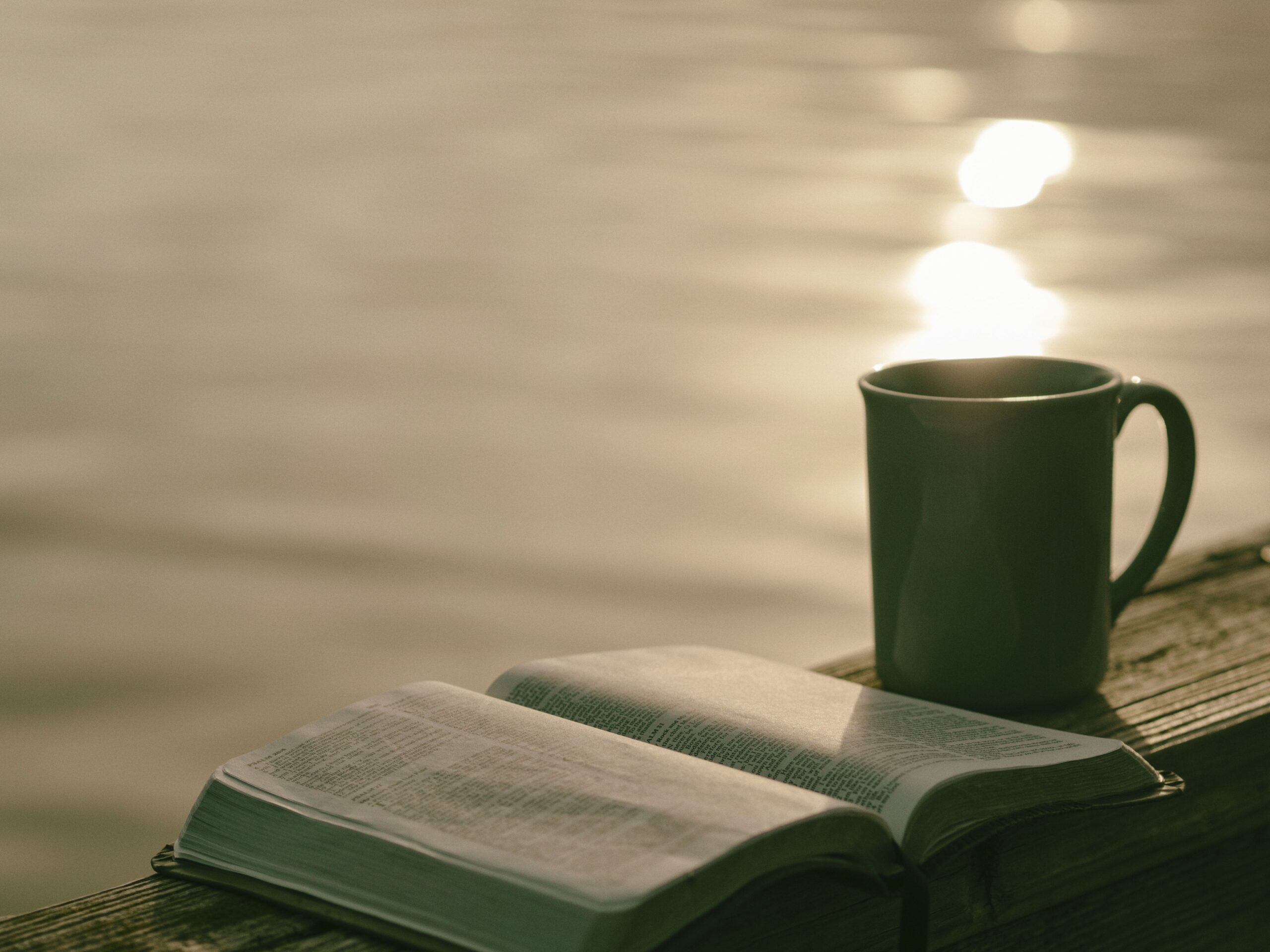 2023_book-2572101-pixabay